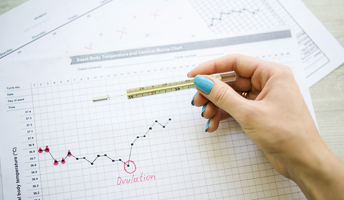 Cycle irrégulier : comment déterminer ma période d’ovulation